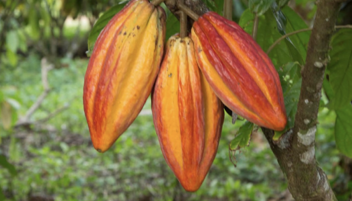 Bildschirmfoto 2025-04-07 um 23.13.29