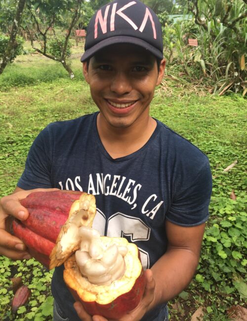 a651b02f-869e-41cb-97f3-9bb2af7ba9d5